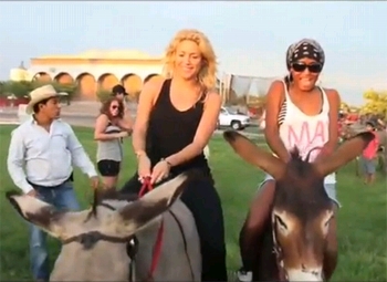 shakira burros